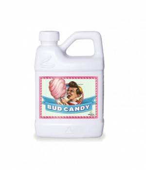 Bud Candy 500ml