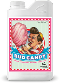 Bud Candy 5000ml