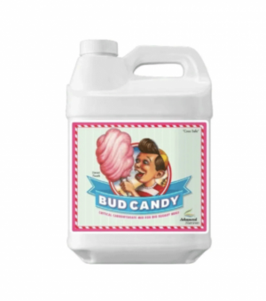 Bud Candy 5000ml