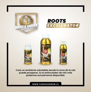 ROOTS Excelurator 100ml – House & Garden