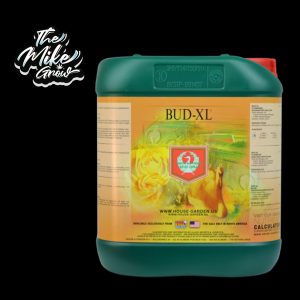 BUD XL 5000ml House & Garden