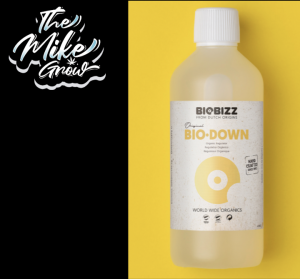 Bio·Down -Biobizz- 1000ml