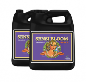 PH PERFECT SENSI BLOOM PART A+B 5000ML Advanced Nutrients