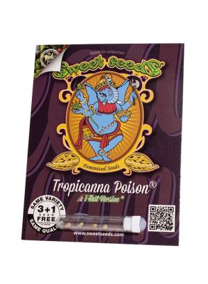 SWEET SEEDS TROPICANNA POISON F1 3+1UDS