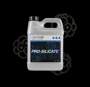 PRO SILICATE 500ML GROTEK