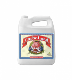 Carboload 4000ml