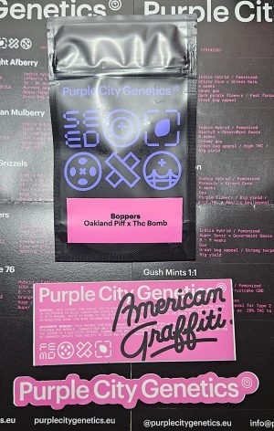 Boppers – American Graffiti – Purple City Genetics – Packs x3