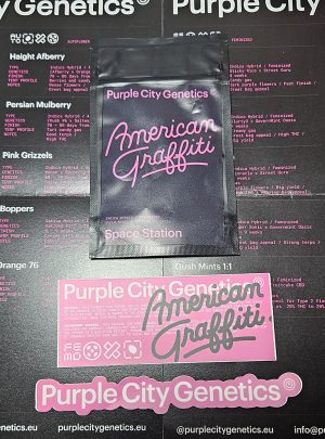 Space Station – American Graffiti – Purple City Genetics – Packs x3