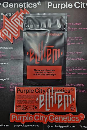 Moroccan Peaches – Purple city genetics – pack 3 Semillas Feminizadas –