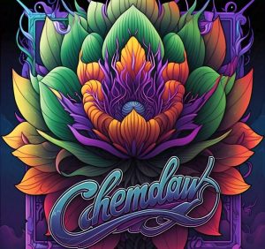 Chemdaw – Feminizada –