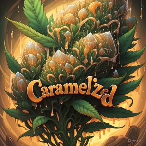 Caramelized – Automatica – 1 semilla