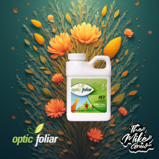 REV Nutrición 250ml