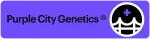 SR71 – Purple city genetics – pack 3 Semillas Feminizadas – - Imagen 2