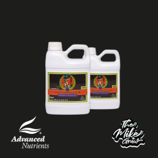 Connoisseur Grow A+B 500 ml