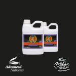 Connoisseur Bloom 500ML