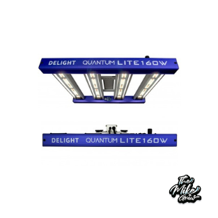 QUANTUM LITE 160W-DELIGHT