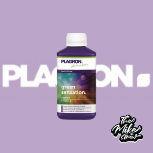 GREEN SENSATION 250ML PLAGRON