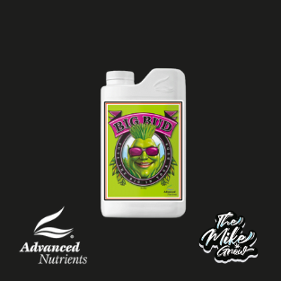 BIG BUD 1L - ADVANCED NUTRIENTS -