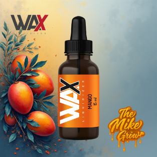 MANGO 15ML - Wax Liquidizer