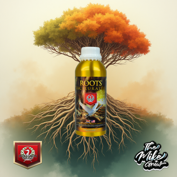 Roots Gold 500ML - House & Garden -