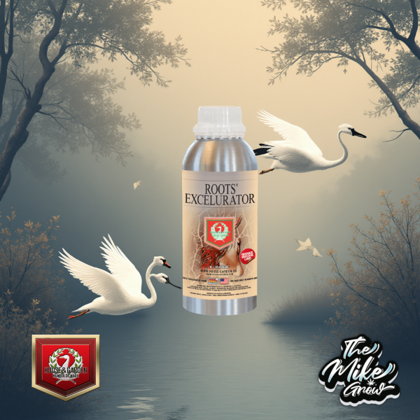 Roots Silver 250ML - House & Garden -