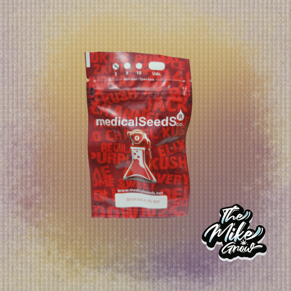 BANANA PURP 3+2UDS