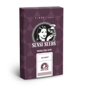 JACK FLASH 5 3UDS FEM SENSI SEEDS