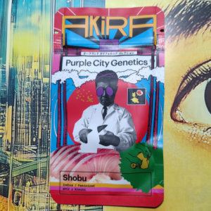 Shobu – AKIRA – purple city genetics