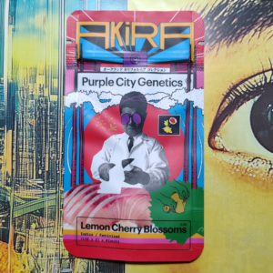 LCB (Lemon Cherry Blossoms) – AKIRA – purple city genetics