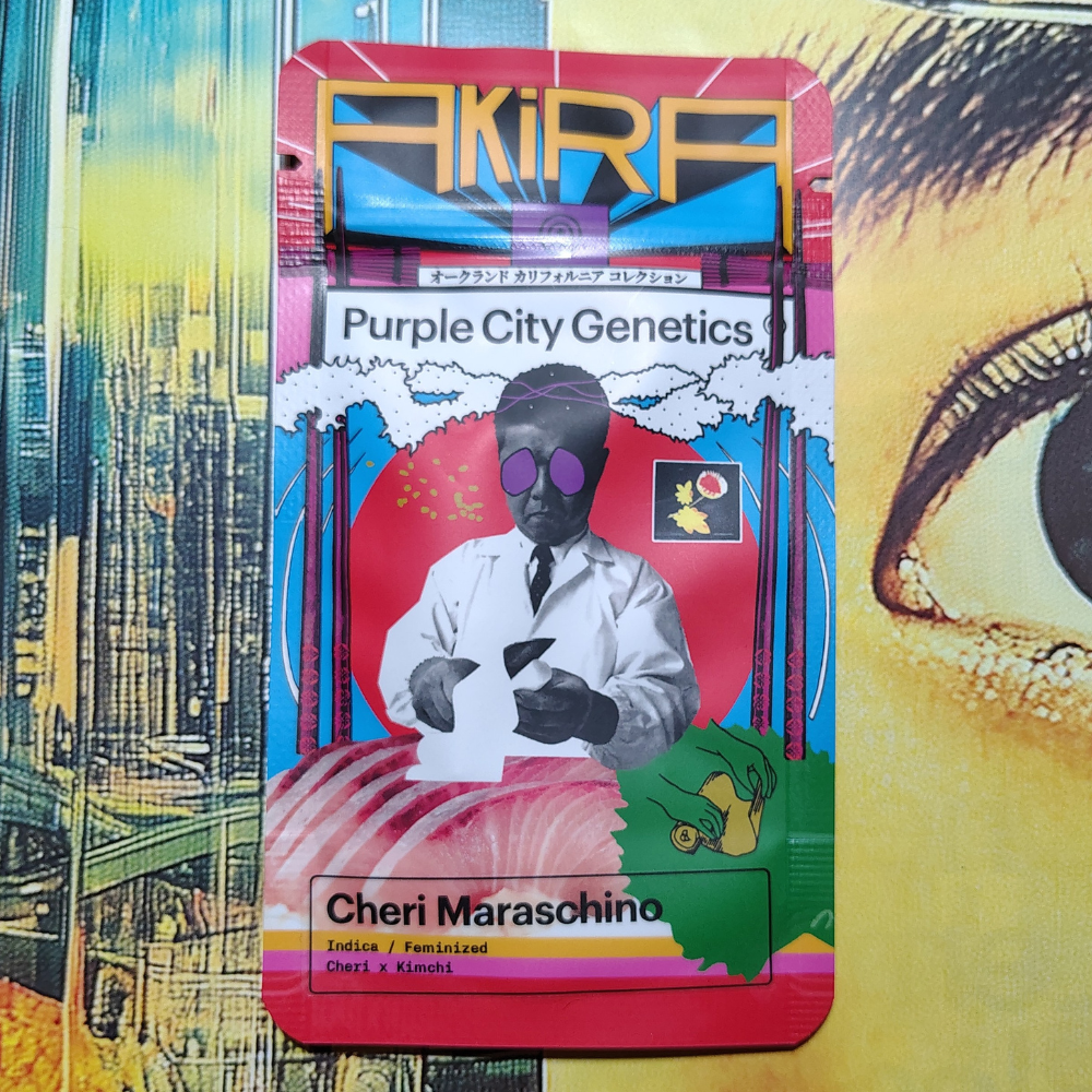 Cheri Maraschino - AKIRA - purple city genetics