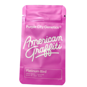 PLATINUM BIRD – AMERICAN GRAFFITI