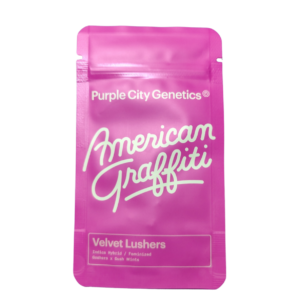 VELVET LUSHERS - AMERICAN GRAFFITI