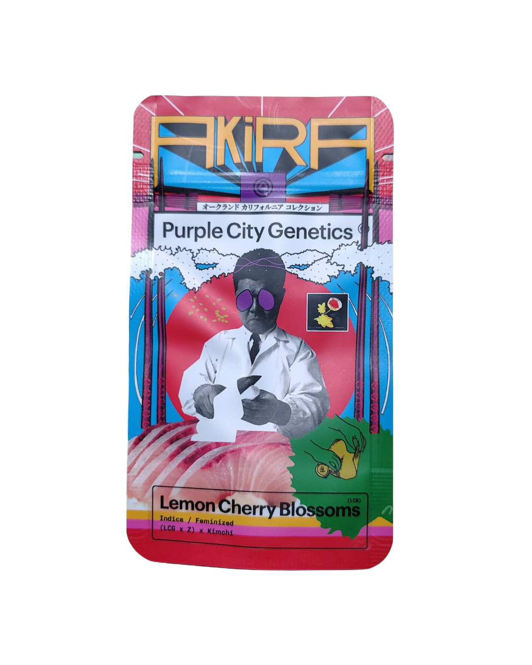 LCB (Lemon Cherry Blossoms) – AKIRA – purple city genetics