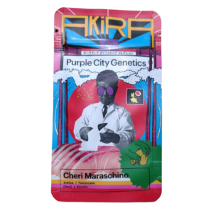 Cheri Maraschino - AKIRA - purple city genetics
