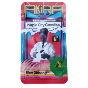 Blue Ginseng – AKIRA – purple city genetics